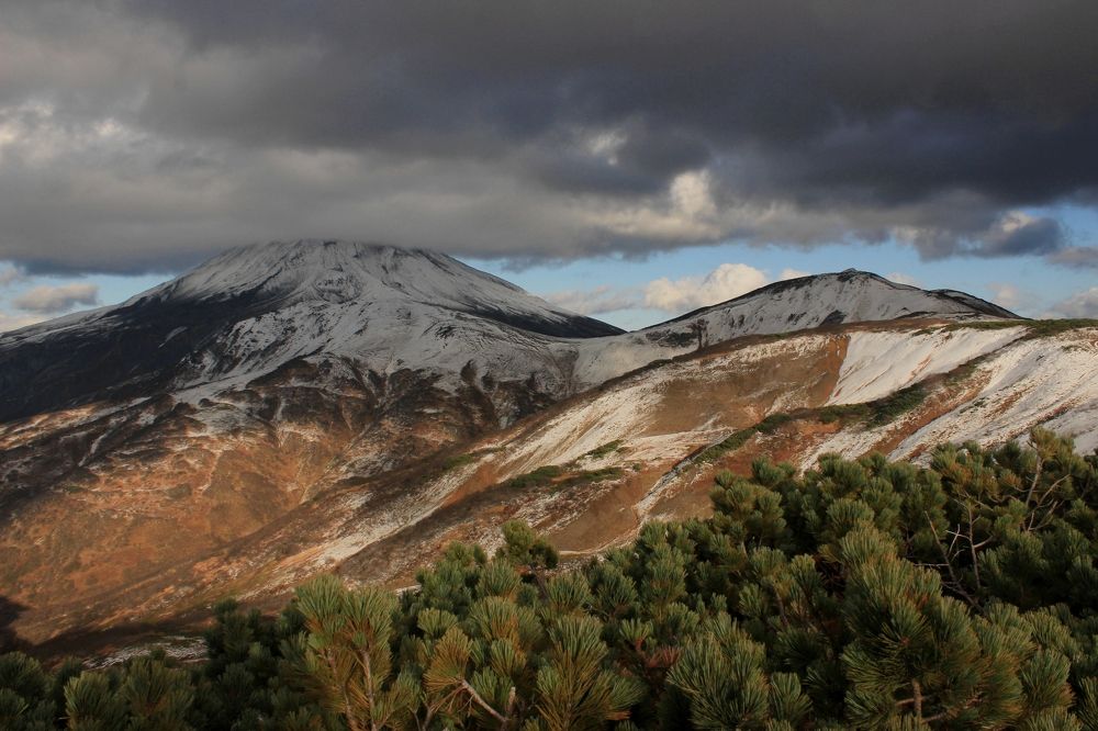 Фотография автора Анастасия