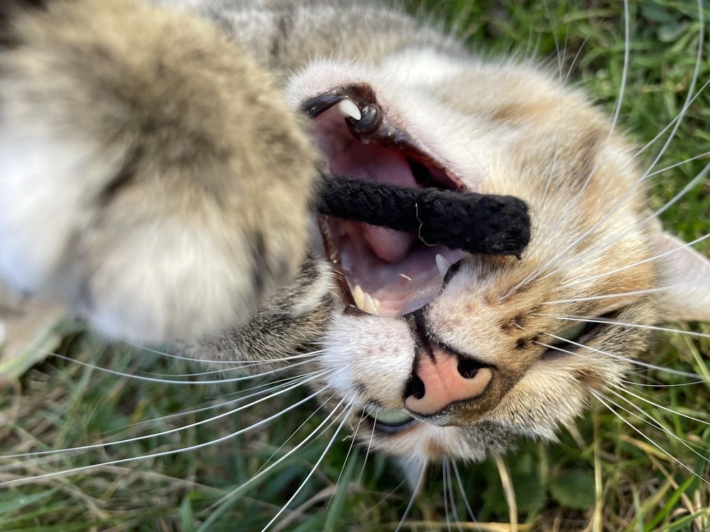 Photograph by Александра Зайниева