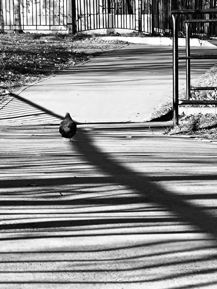 Photograph by Евгения