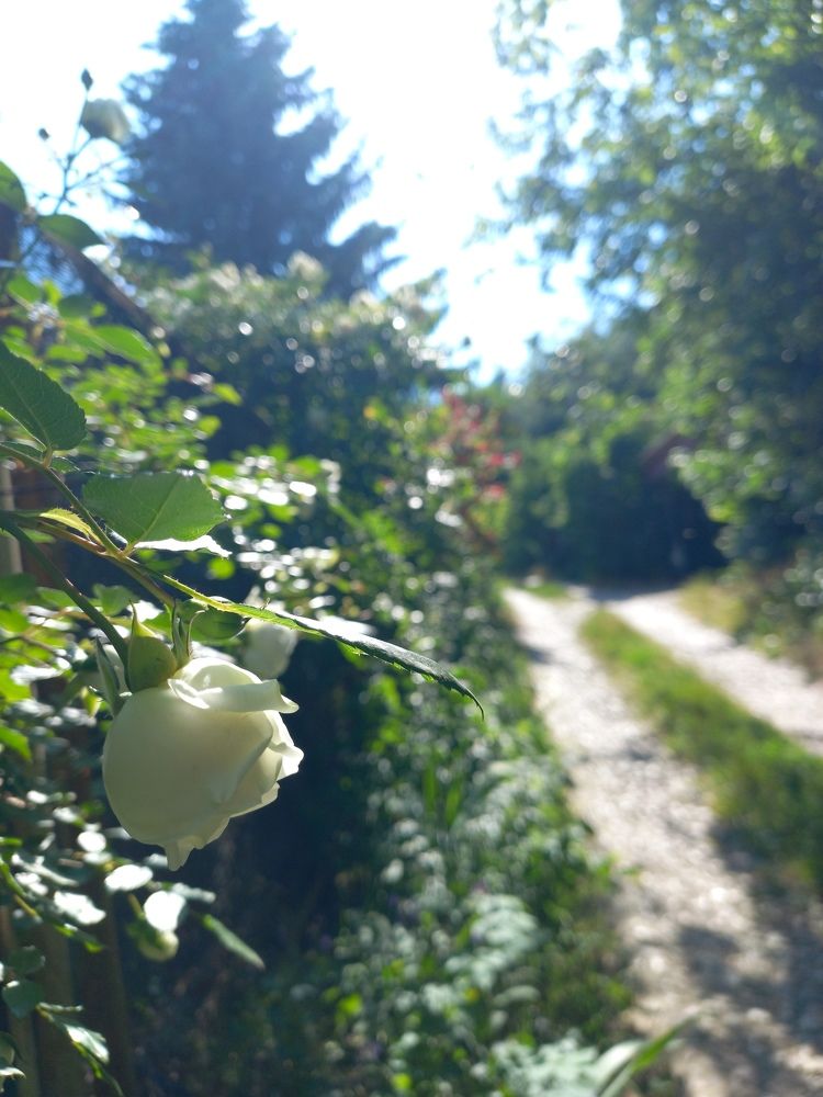 У подножья Чатыр-Дага