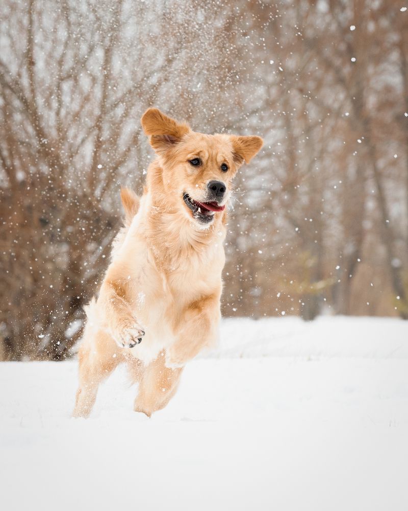 Photograph by Лилия Наконечная