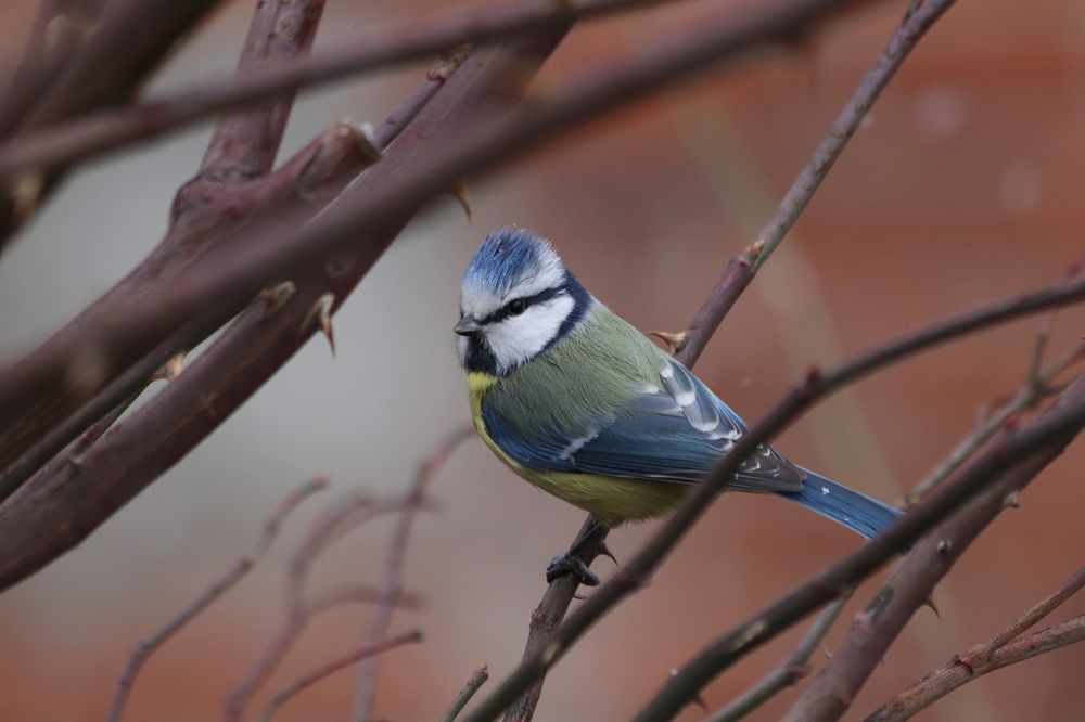 Photograph by Елена Иванкина