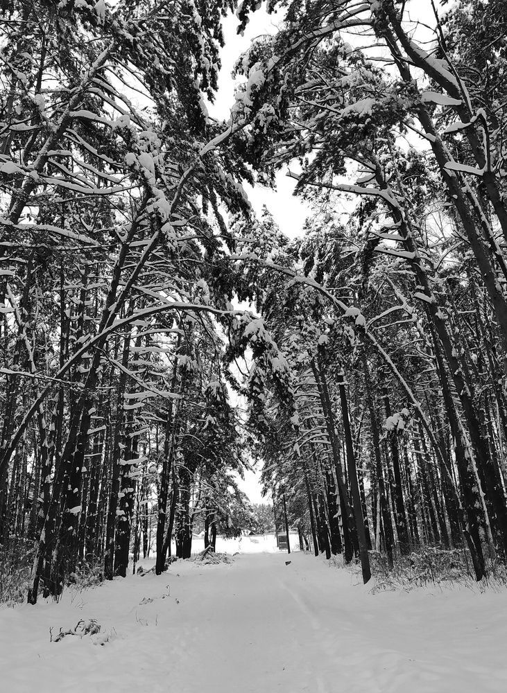 Photograph by Олеся Бронзова