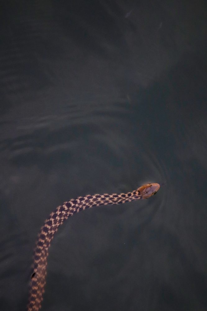 Фотография автора Washiful Majid