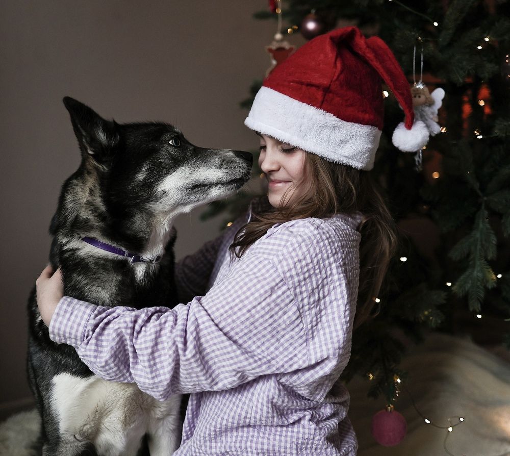 Photograph by Елена Одынец