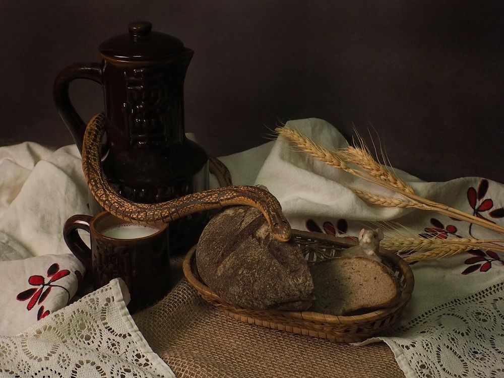 Photograph by Юлия Жереченко