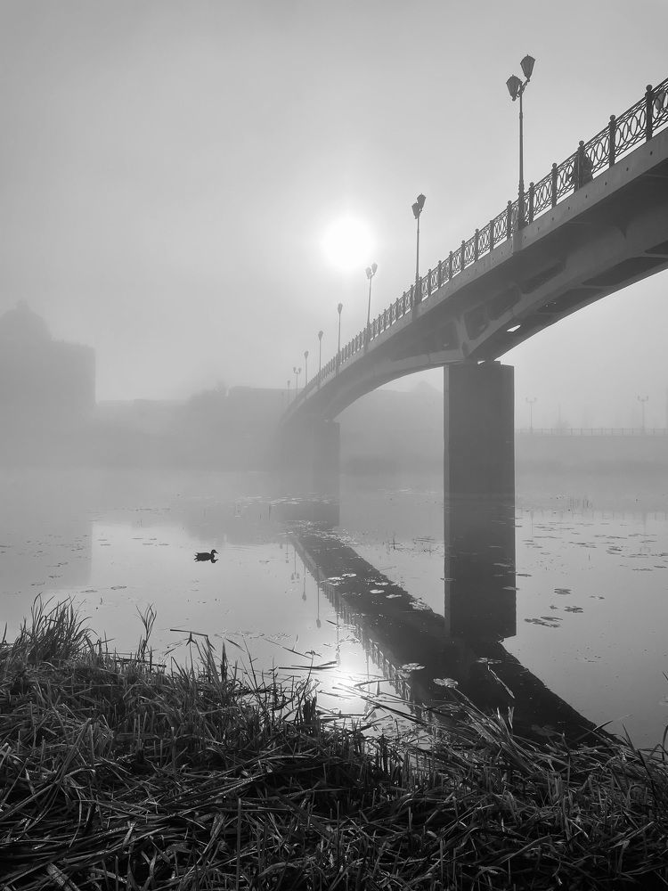 Photograph by Александра Зайниева