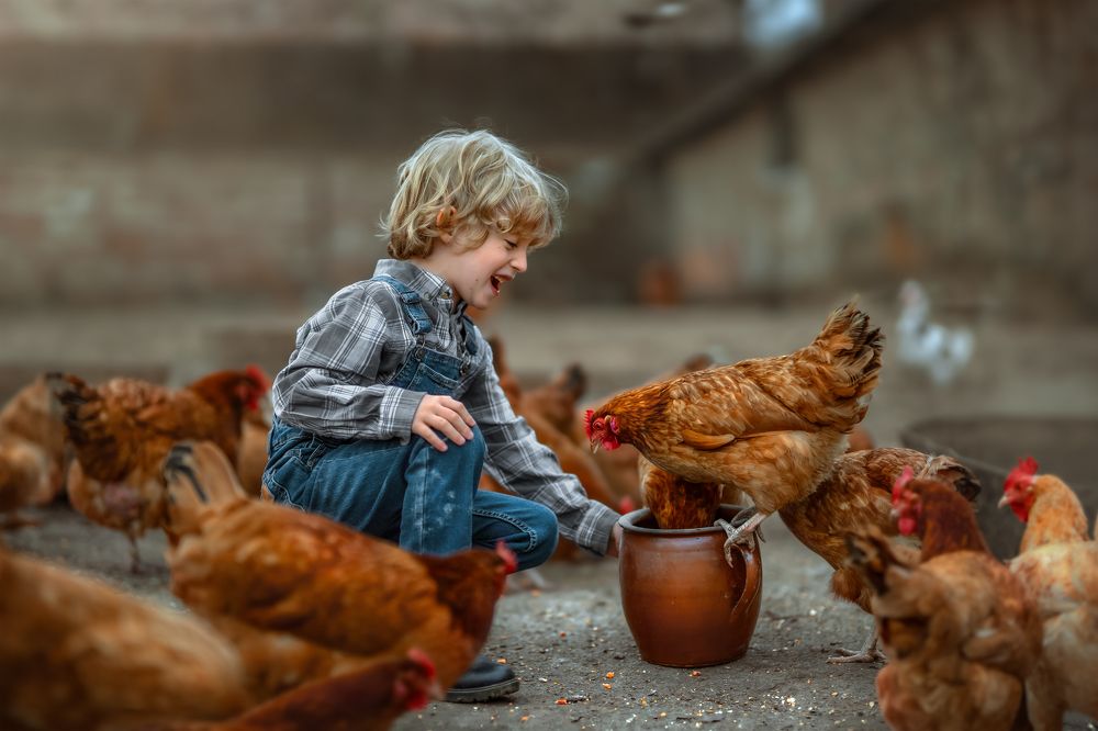 Фотография автора Kasia Kapała