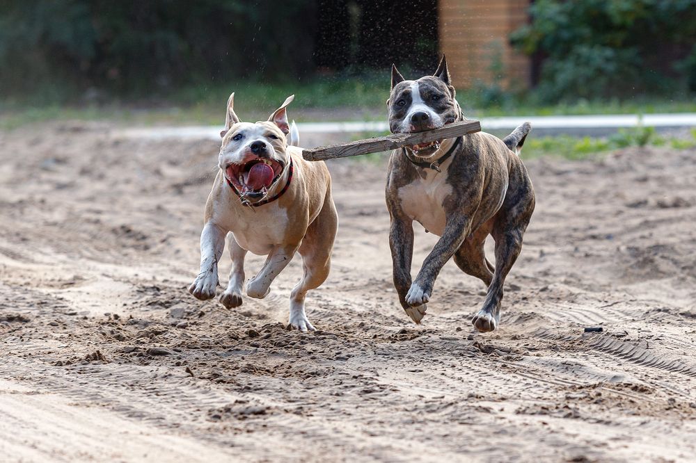 Photograph by Людмила Бандурина