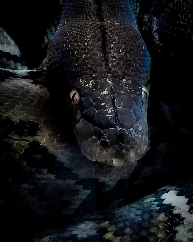 Photograph by Елена Копытова