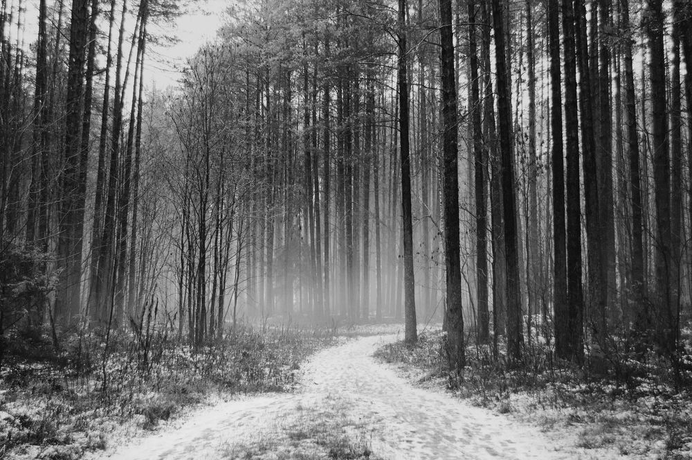 Фотография автора Мария Михайлова