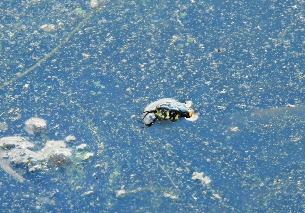 Photograph by Игорь Носков (Домненко)