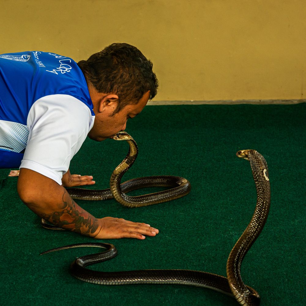 Смертельный поцелуй