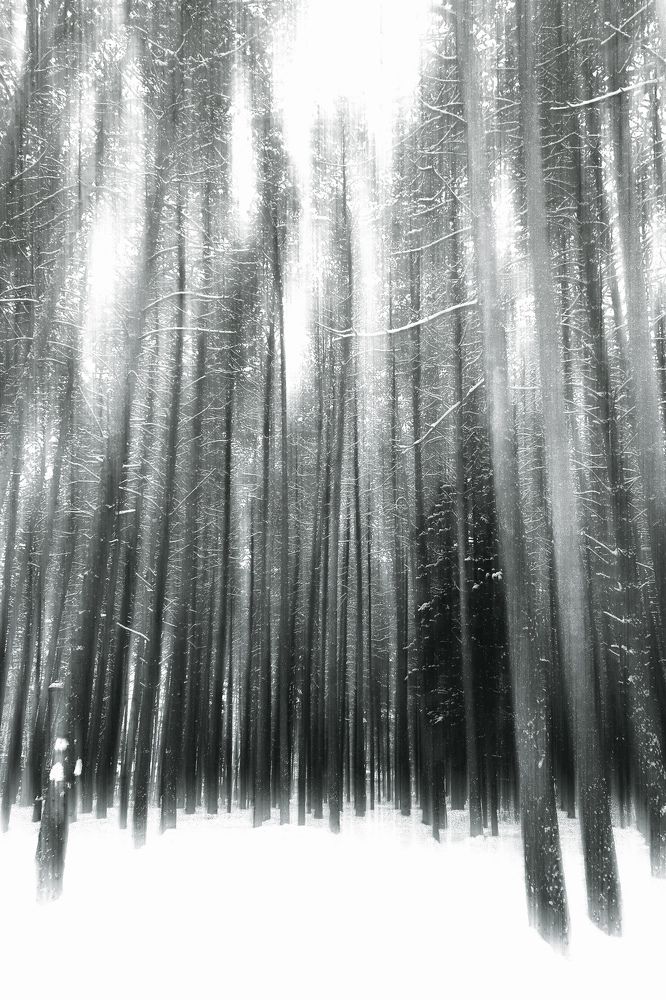 Photograph by Янтарная Елена