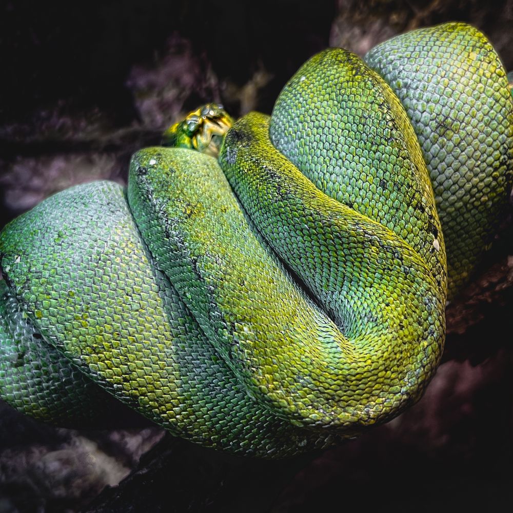 Photograph by Анна Стрелковская