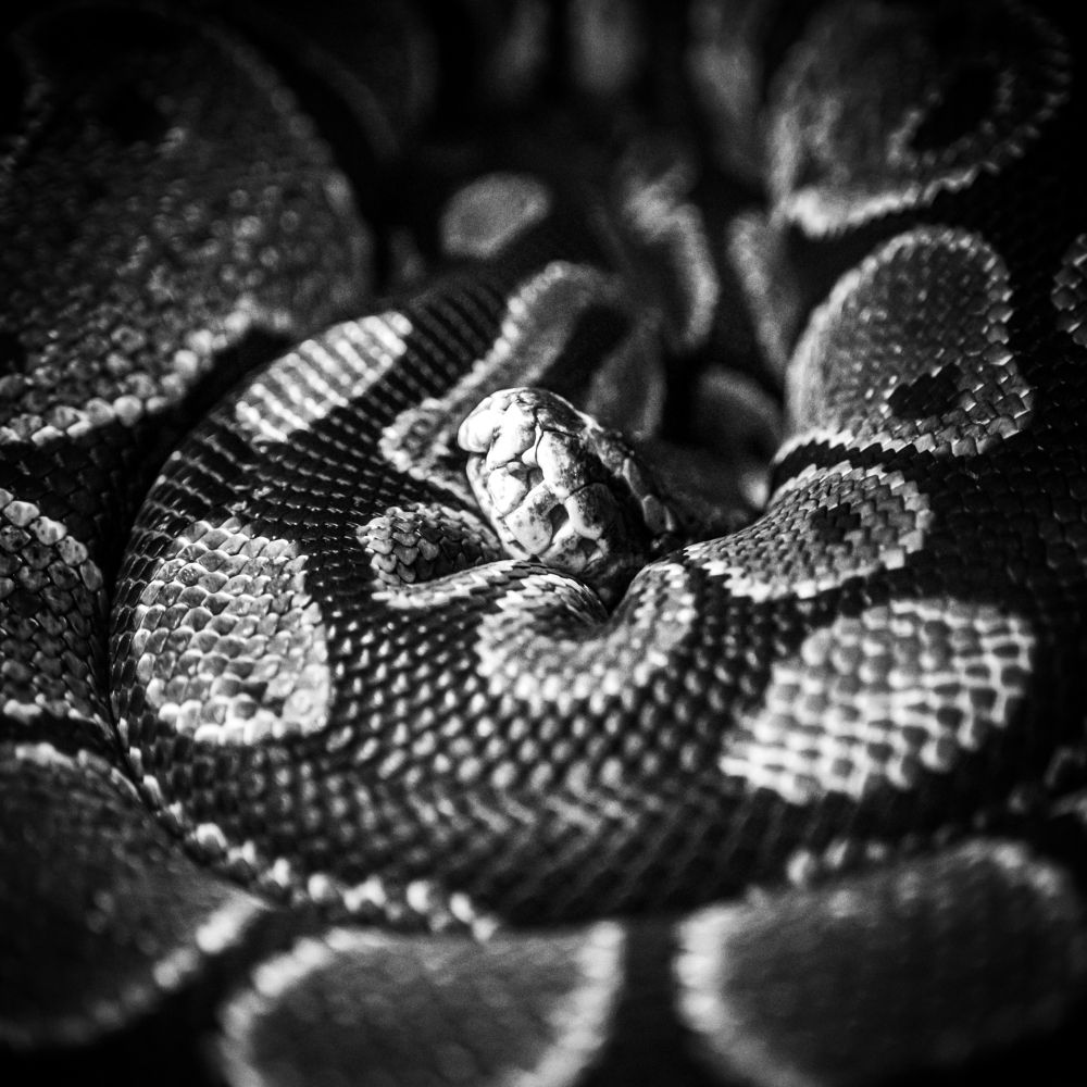 Photograph by Анна Стрелковская