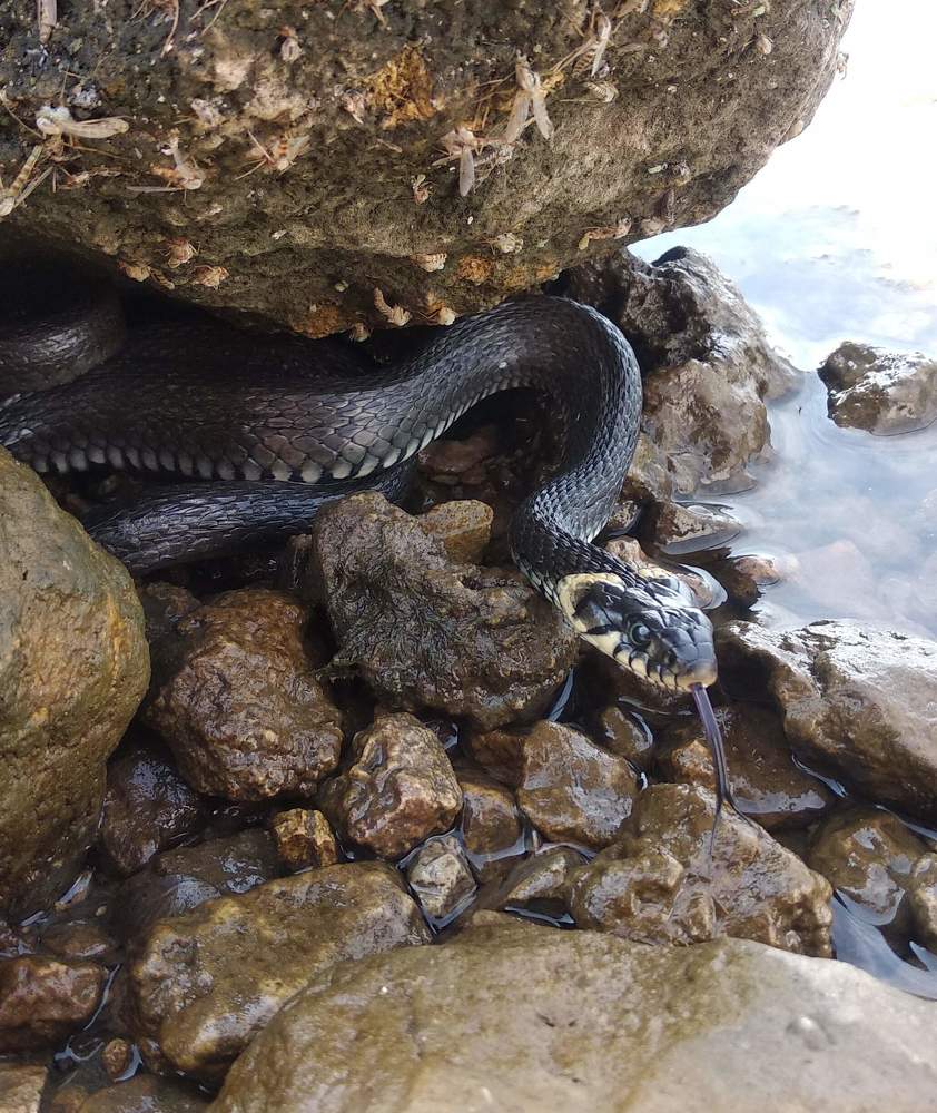 Фотография автора Павел Попов