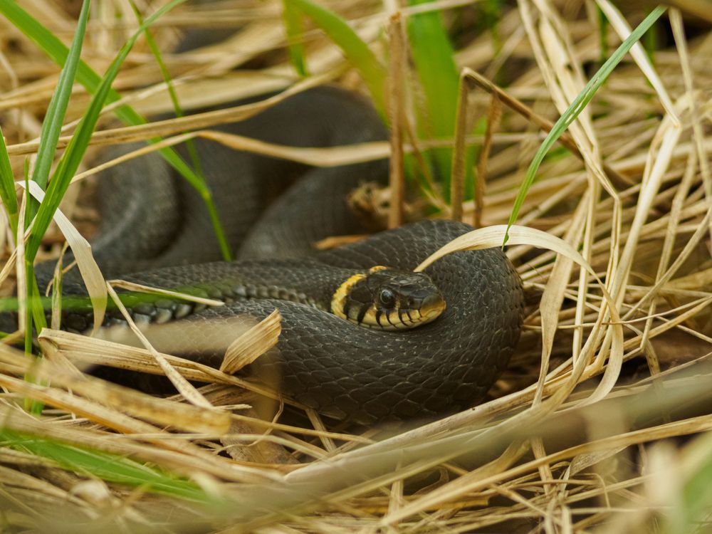 Photograph by Chelyshev Boris