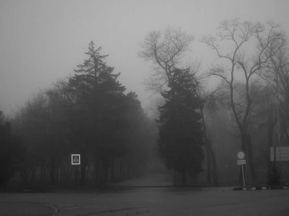 Photograph by Сергей Пыдык