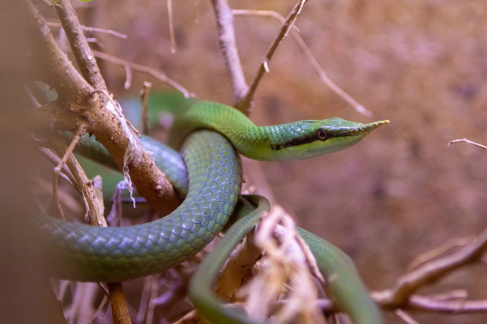 Фотография автора Нина Шкляр