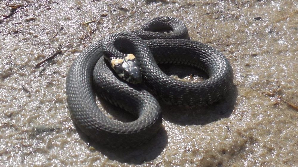 Фотография автора Павел Попов