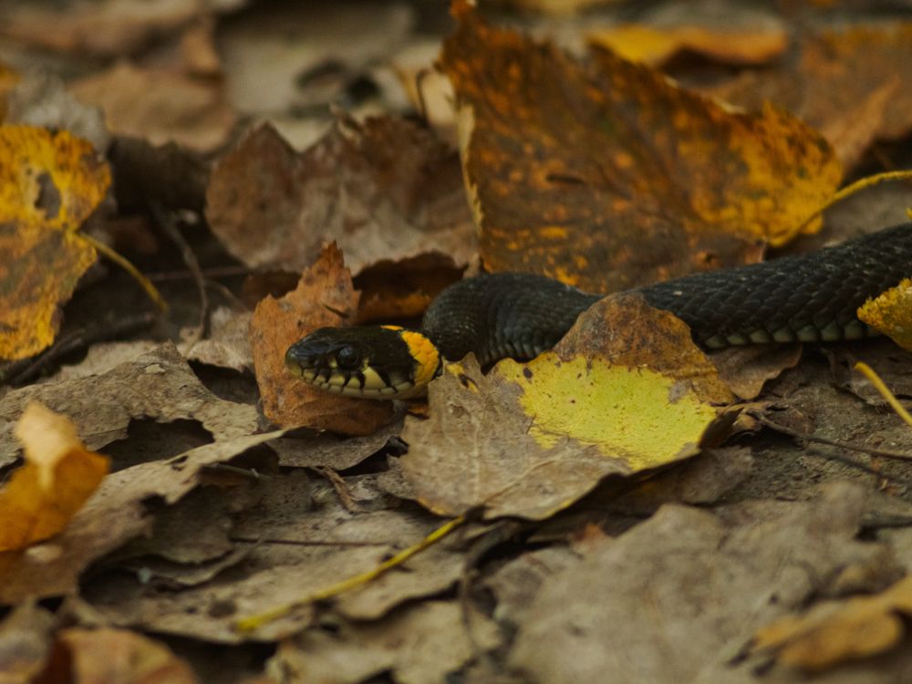 Photograph by Chelyshev Boris