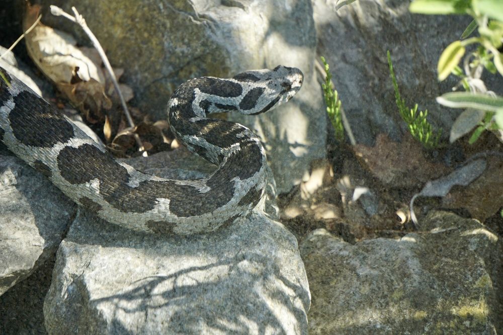 Фотография автора Liudmila Kiermeier