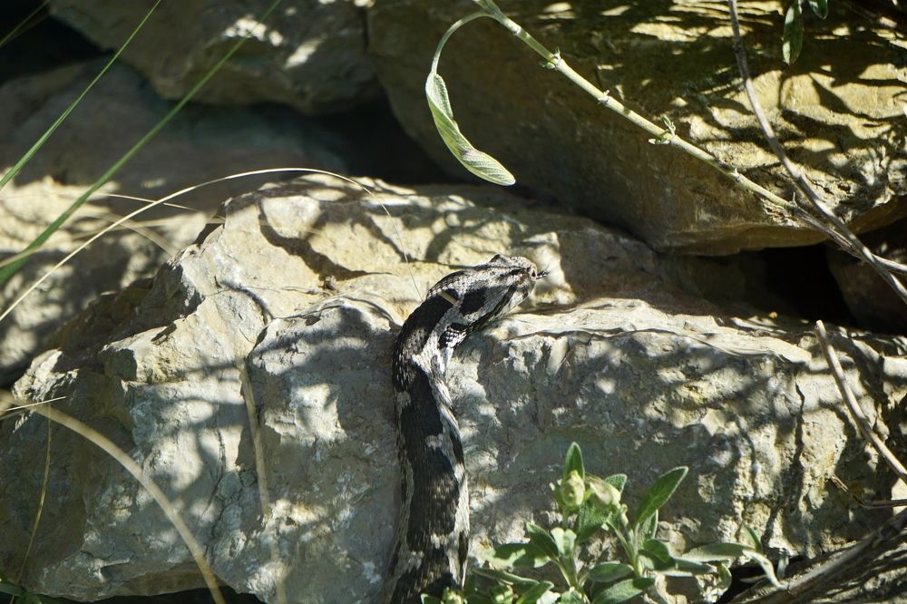 Фотография автора Liudmila Kiermeier