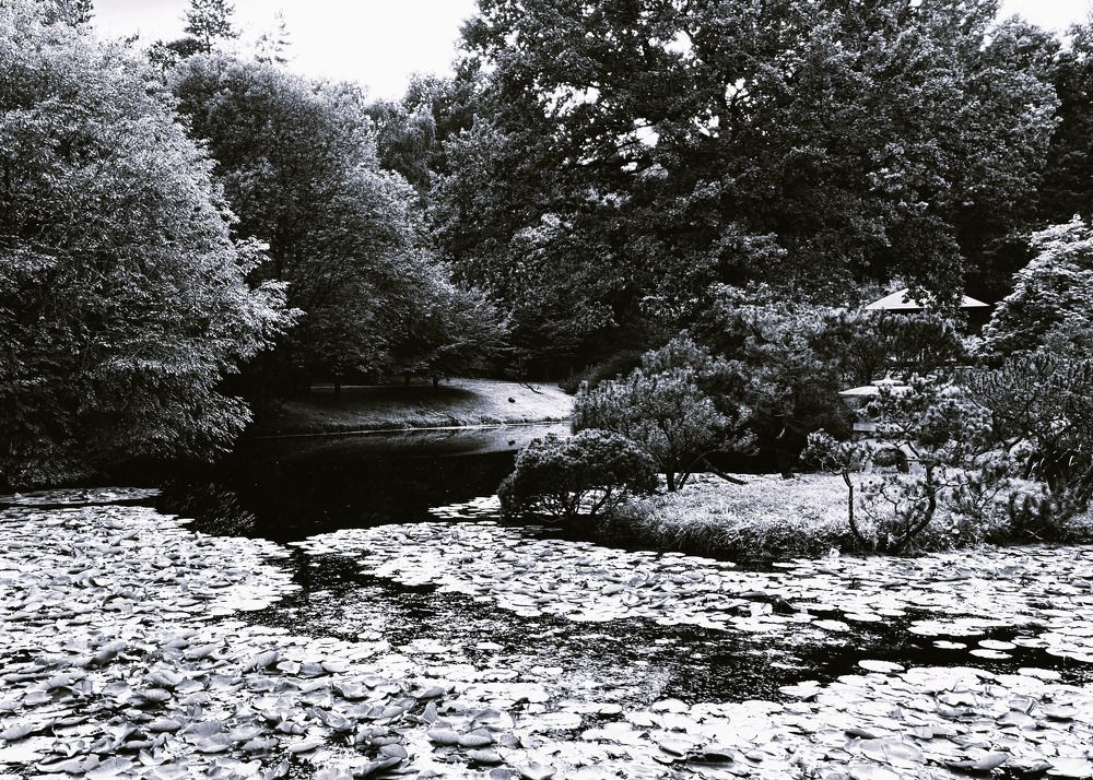 Фотография автора Сергей Демидов