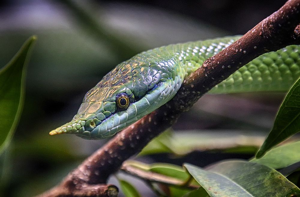 Photograph by Александр