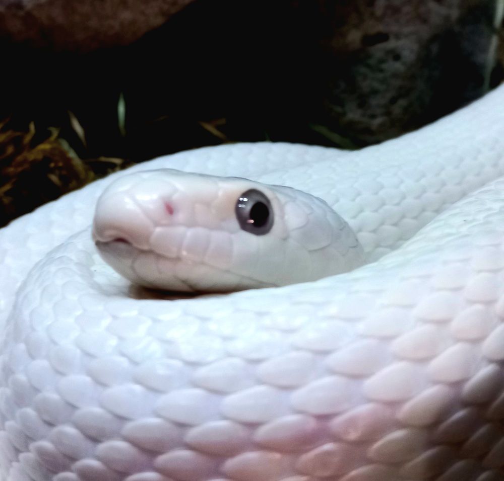 Photograph by Евгений Савулькин