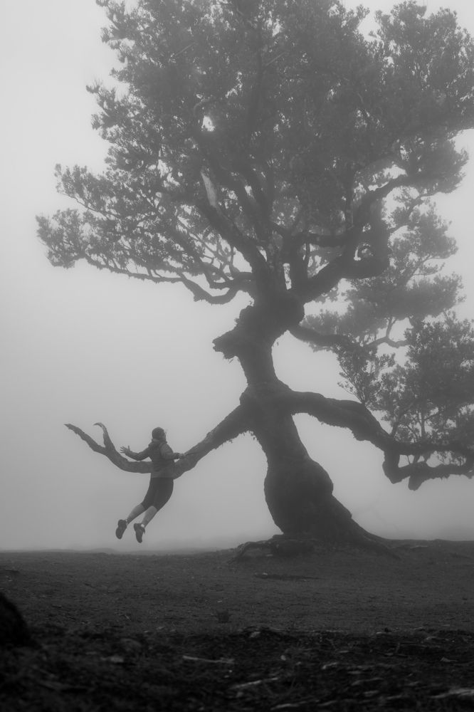 Fanal Forest mystical battle