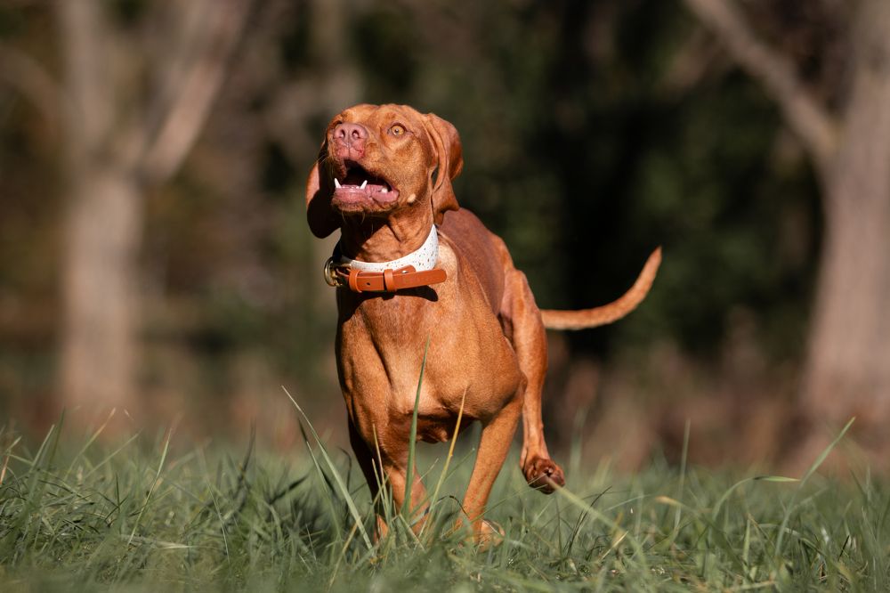 Фотография автора Tatiana Piskun