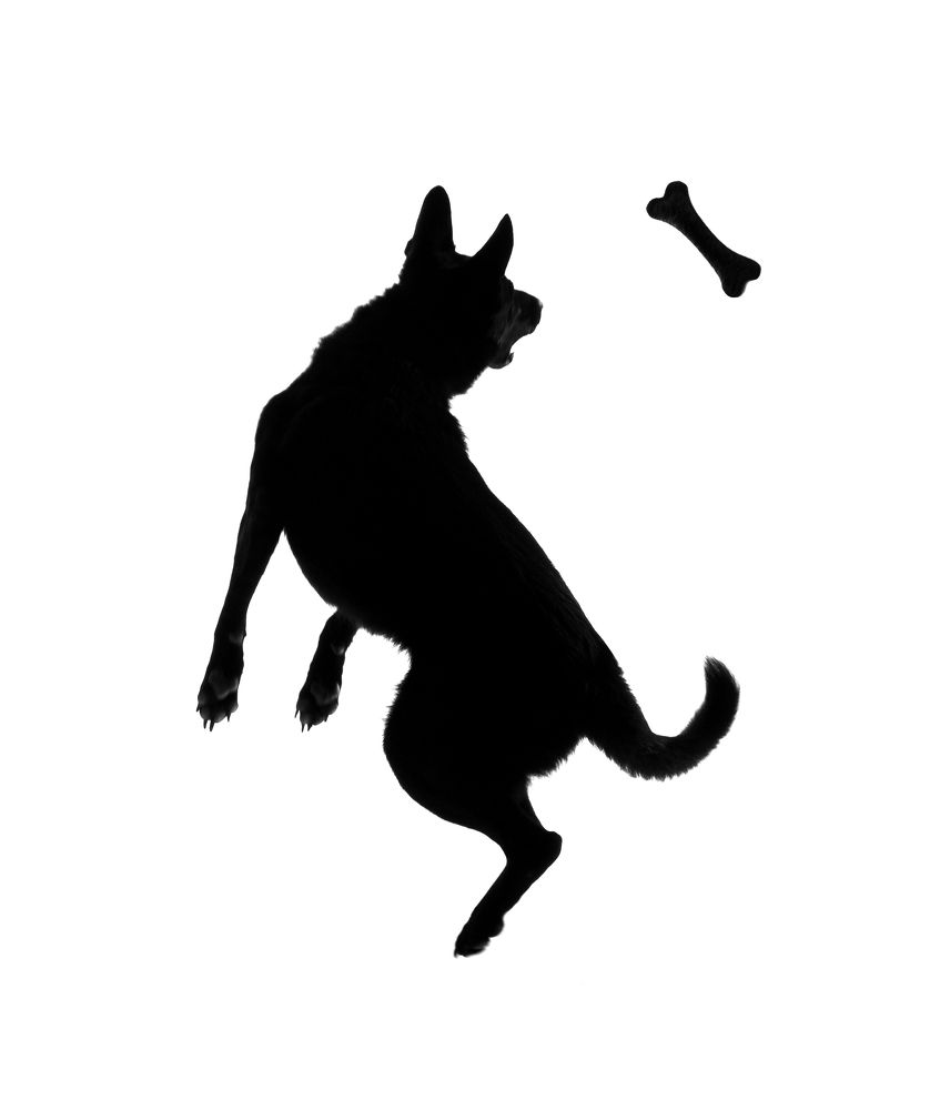 Фотография автора Tatiana Piskun