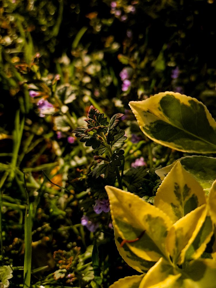 Фотография автора Anya