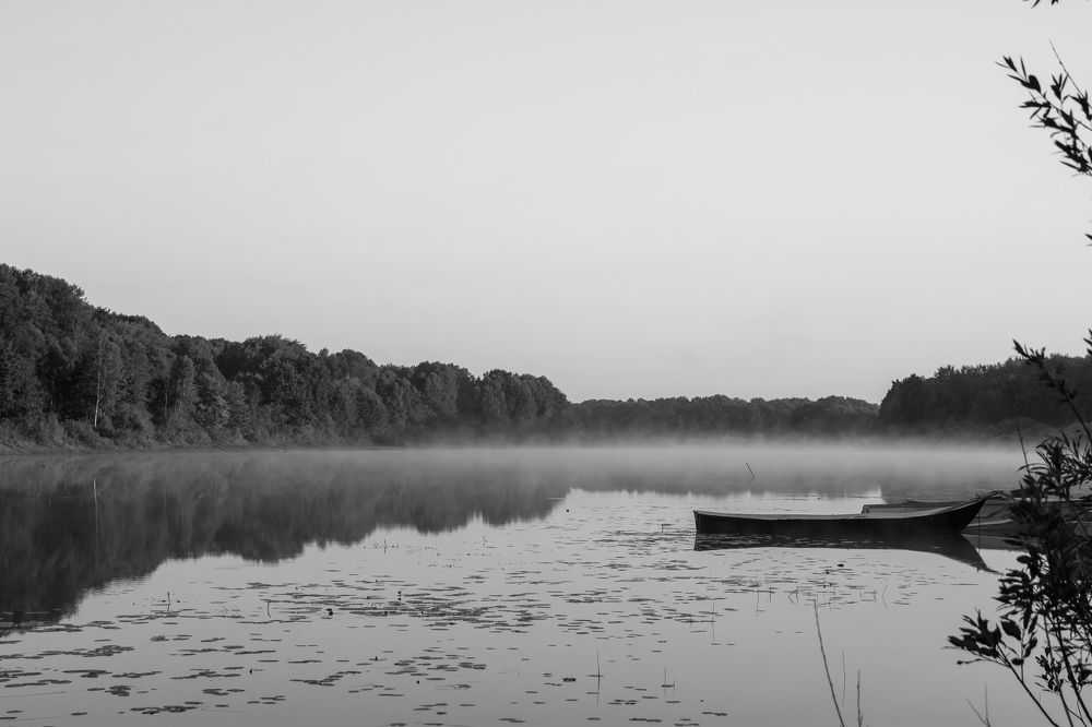 Photograph by Ольга Осинина