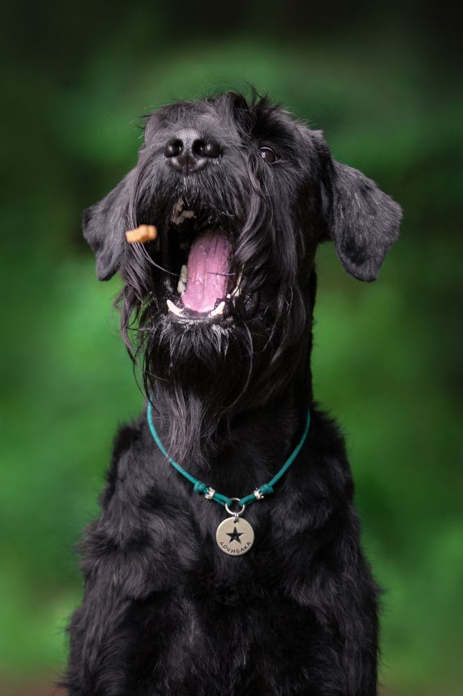 Фотография автора Tatiana Piskun