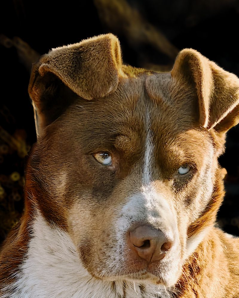 Photograph by Igor M.