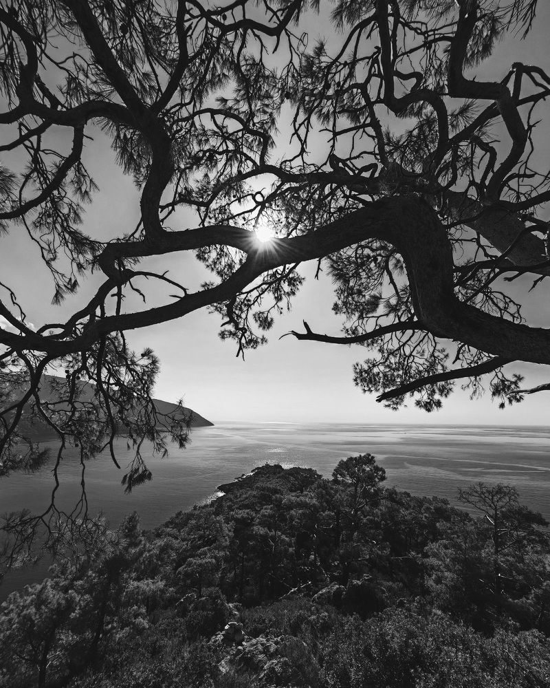 Photograph by Юлия Есина