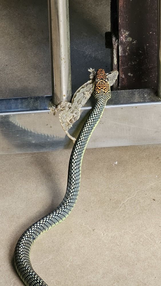 Photograph by Вадим Богатиков