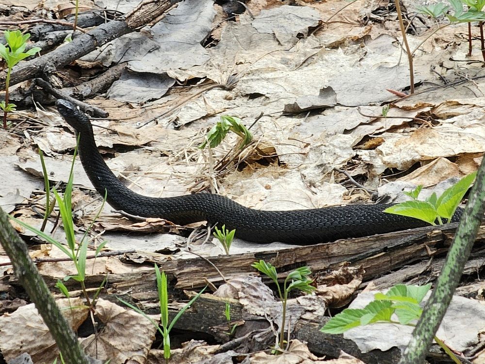 Photograph by Вадим Богатиков