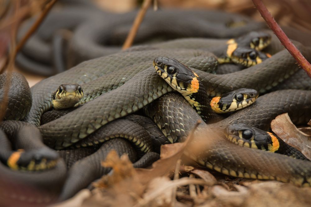 Photograph by Соварцева Ксения