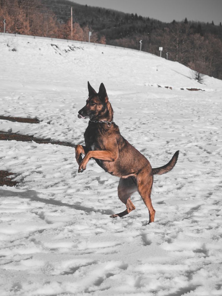 Photograph by CHRIS PAPAKIRITSIS