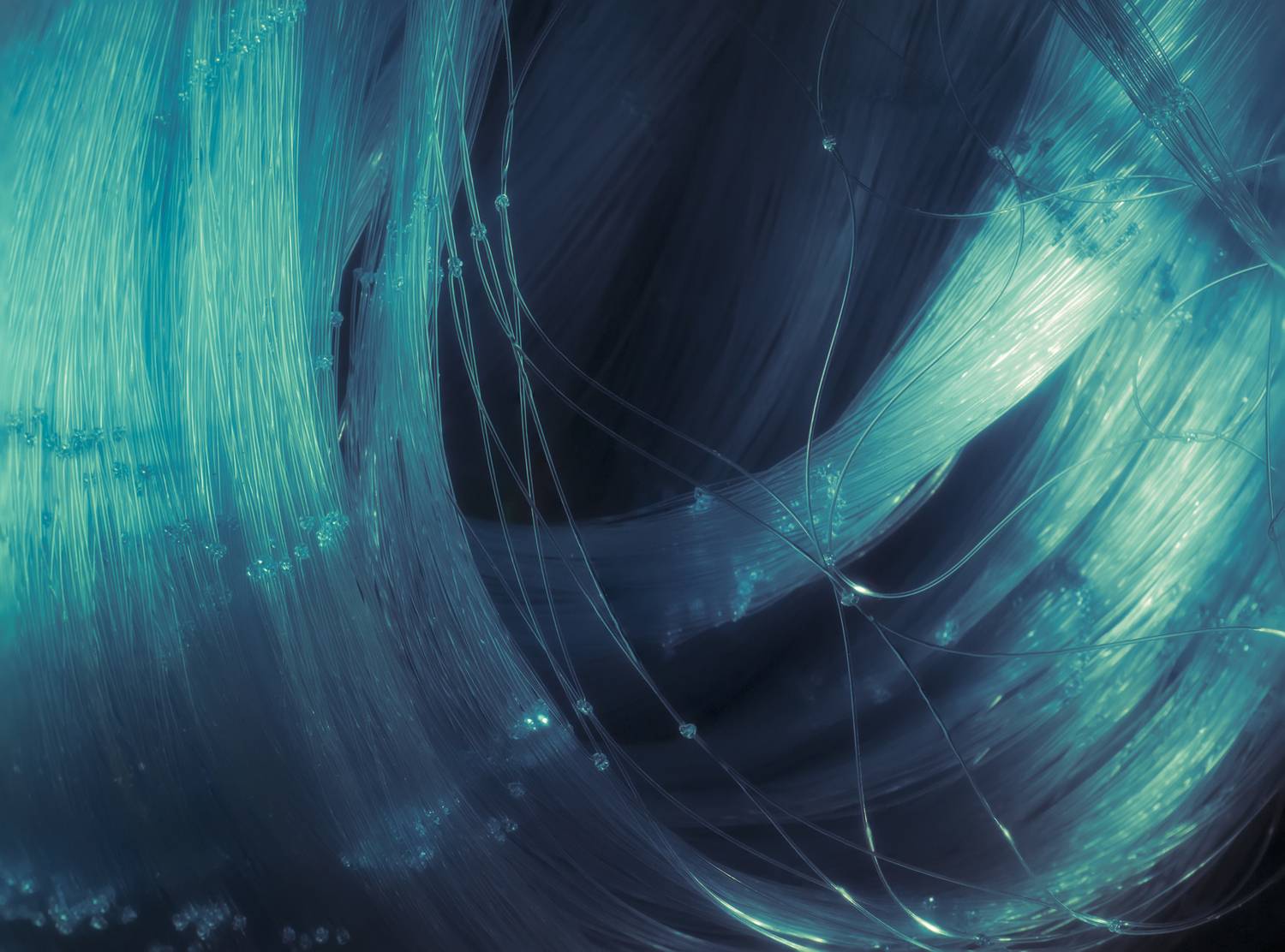 Fishing net