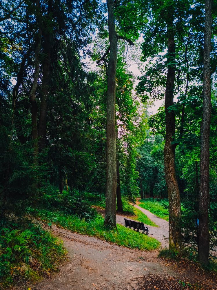 Photograph by Олеся Бронзова