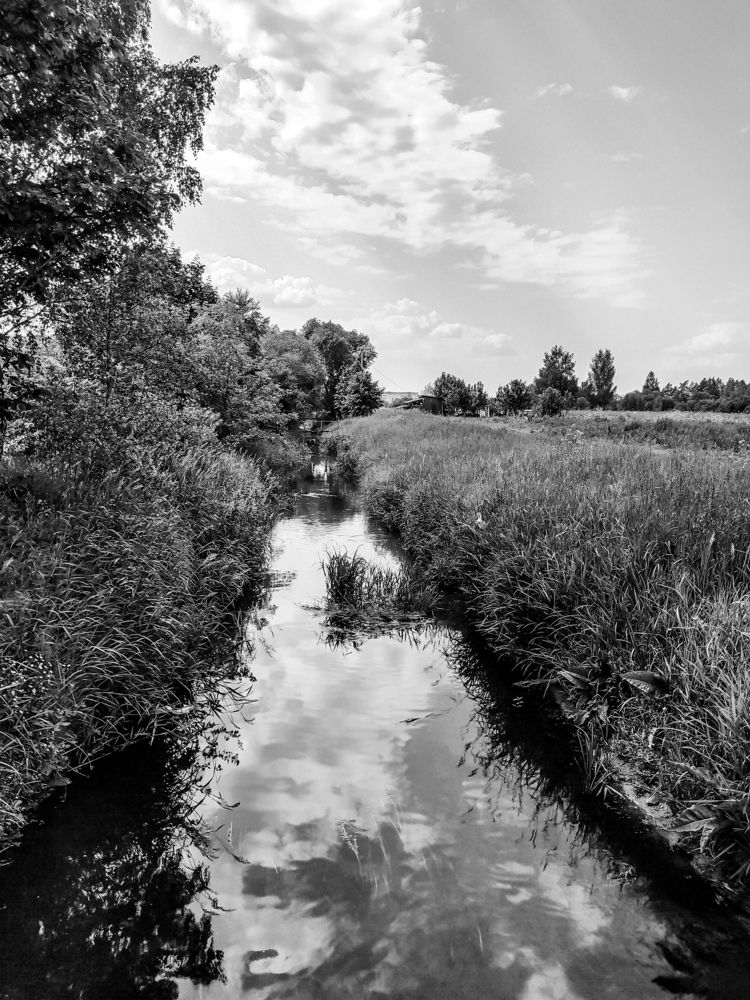 Photograph by Олеся Бронзова