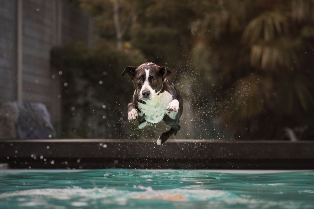 Фотография автора By Meert Eline