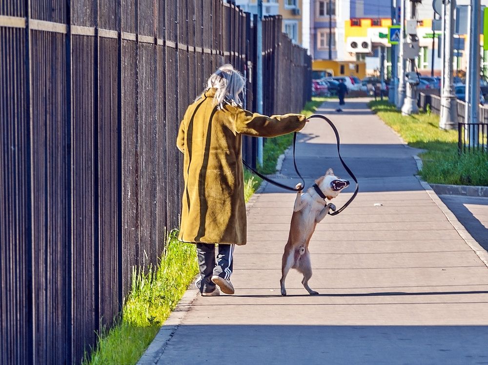 Photograph by Валерий Клейменов