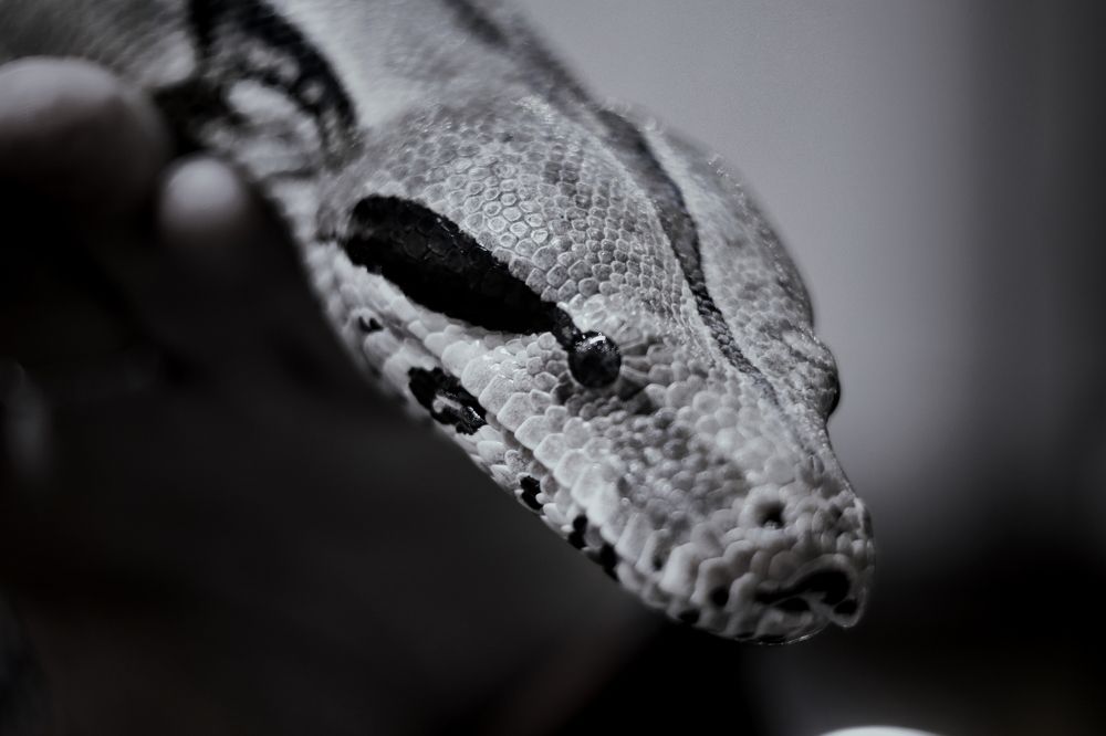 Photograph by Yana Egorova