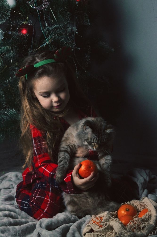 Photograph by Алёна Кибичеева